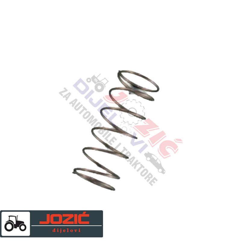 Daisy on the Ohoopee